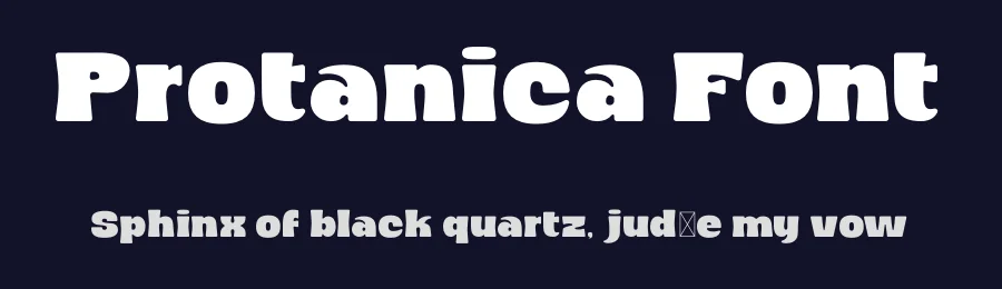 Protanica Font by BRAINWAVES STUDIO — Display Font — thumbnail 2