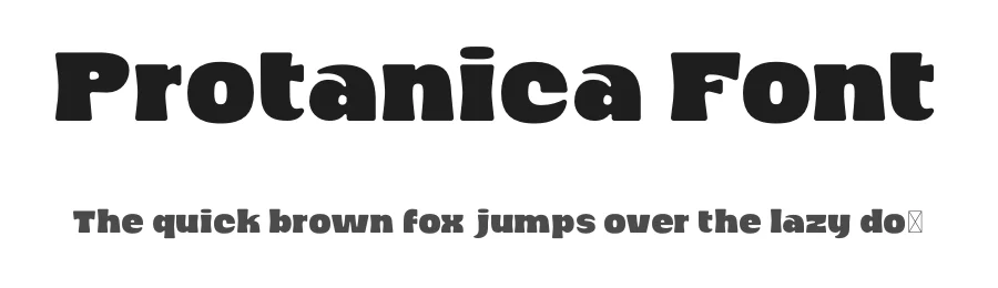 Protanica Font by BRAINWAVES STUDIO — Display Font