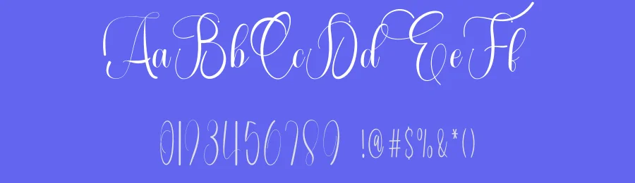 Public Transtv – Elegant Handwritten Font by freshtypeink — Script Handwritten Font — thumbnail 3