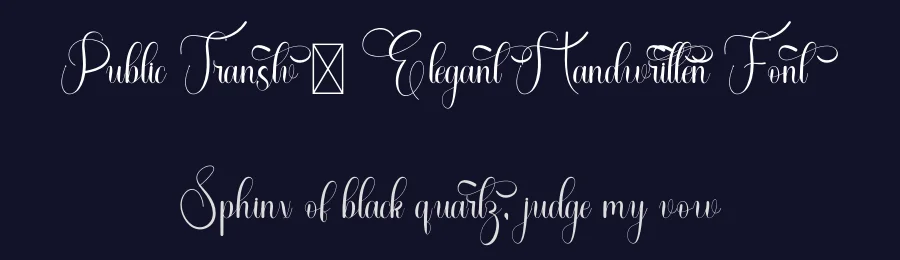 Public Transtv – Elegant Handwritten Font by freshtypeink — Script Handwritten Font — thumbnail 2