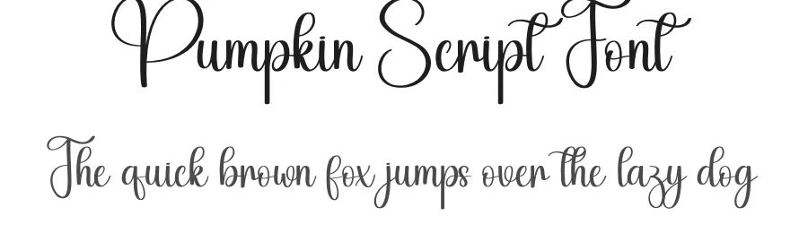 Pumpkin Script Font by creativeletter — Script Handwritten Font