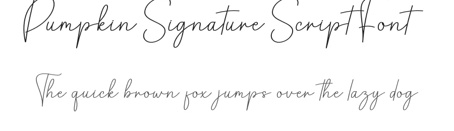 Pumpkin Signature Script Font by creativeletter — Script Handwritten Font