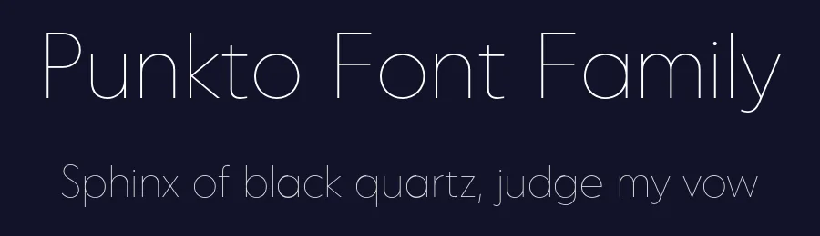 Punkto Font Family by Ahmet Altun — Sans Serif Font — thumbnail 2