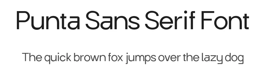 Punta Sans Serif Font by Tuna Ekici — Sans Serif Font