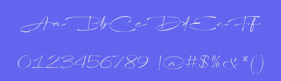 Purelines Script Font by Fikryal Studio — Script Handwritten Font — thumbnail 3