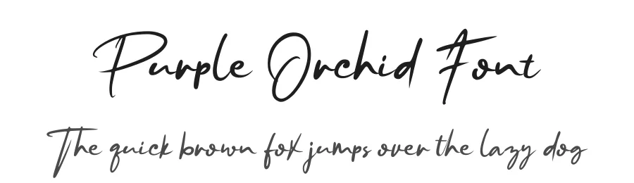 Purple Orchid Font by GDcreative β Script Handwritten Font