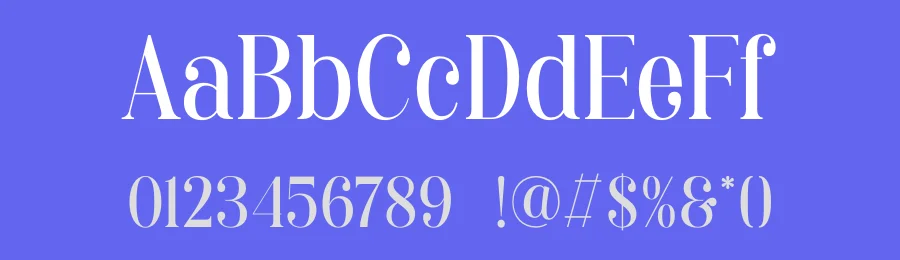 Qafinga Font by TypeLogue — Serif Font — thumbnail 3