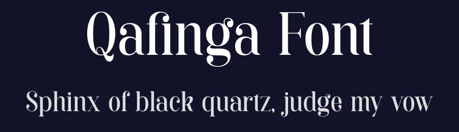 Qafinga Font by TypeLogue — Serif Font — thumbnail 2