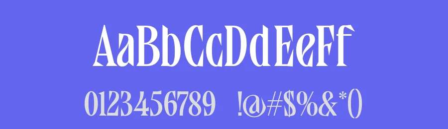 Qandera Font by timelesstype.co — Display Font — thumbnail 3