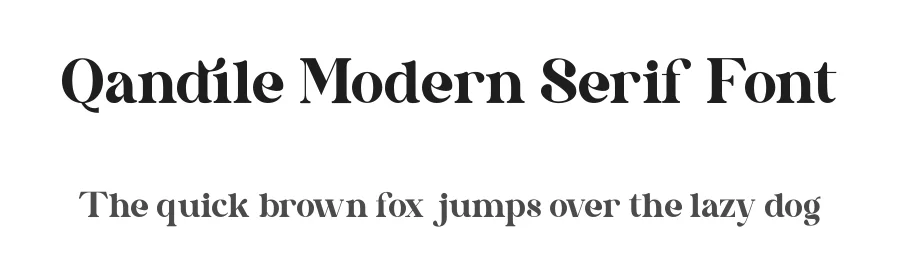 Qandile Modern Serif Font by Storytype — Decorative Font