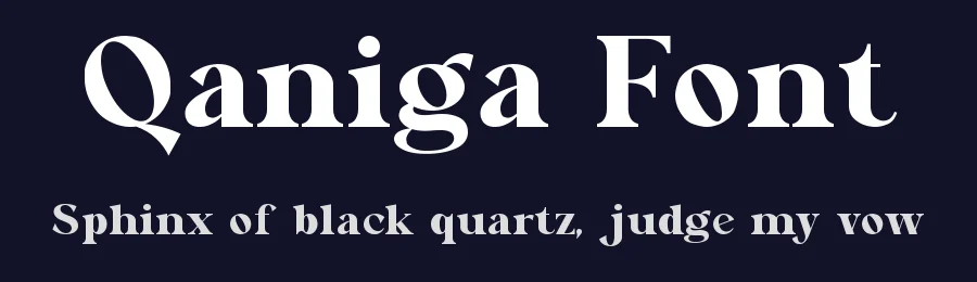 Qaniga Font by ErmediaStudio — Serif Font — thumbnail 2