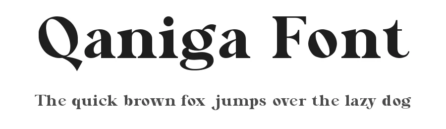 Qaniga Font by ErmediaStudio — Serif Font