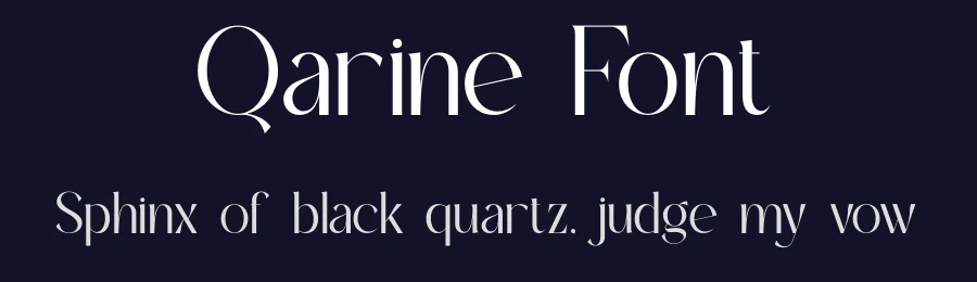 Qarine Font by ErmediaStudio — Serif Font — thumbnail 2