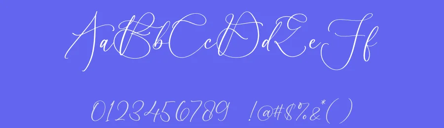 Qarthina Selina Font by letterfabric — Script Handwritten Font — thumbnail 3