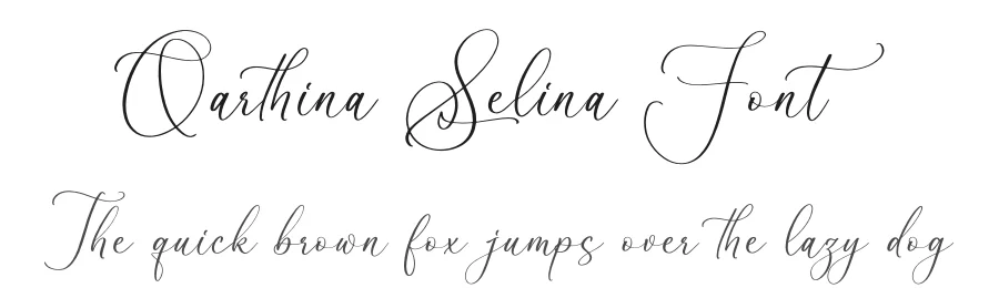 Qarthina Selina Font by letterfabric — Script Handwritten Font
