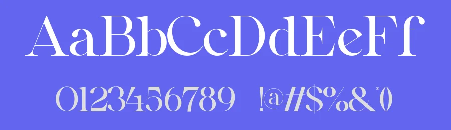 Qealiz Font by SlideShoot — Serif Font — thumbnail 3