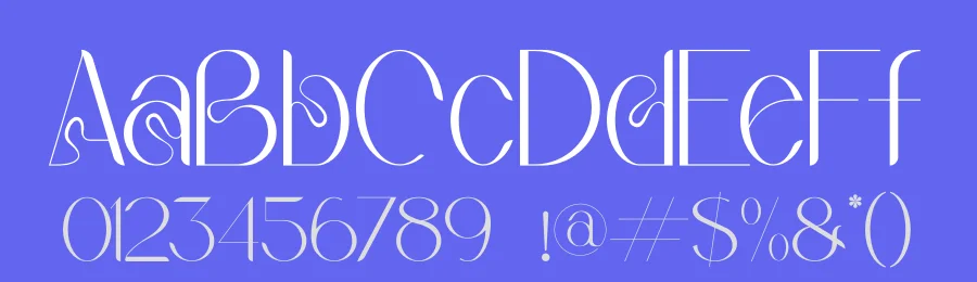Qelista Serif Font by Storytype — Serif Font — thumbnail 3