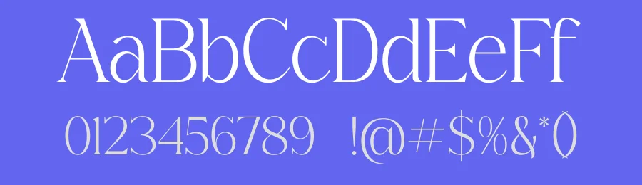 Qerginas Frenchstyle Font Duo by Storytype — Serif Font — thumbnail 3