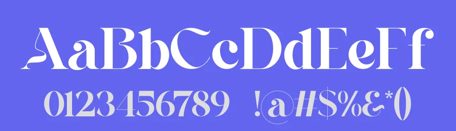 Qilona Font by SlideShoot — Serif Font — thumbnail 3