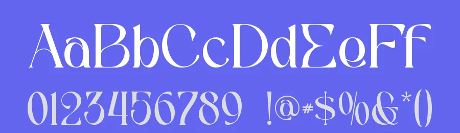 Qinferly Font by letterara — Serif Font — thumbnail 3