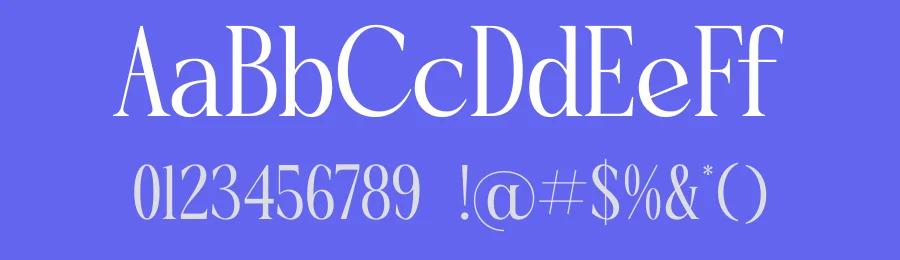 Qinfolk – Elegant Serif Font by timelesstype.co — Display Font — thumbnail 3