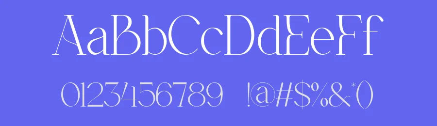 Qioner Font by ErmediaStudio — Serif Font — thumbnail 3