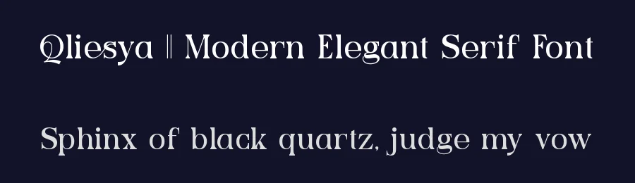 Qliesya || Modern Elegant Serif Font by ErmediaStudio — Display Font — thumbnail 2
