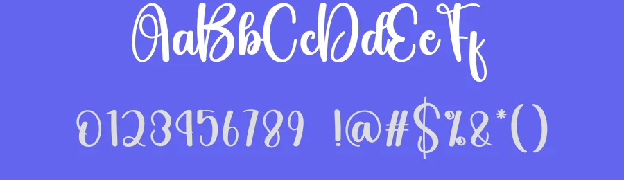 Quality Script Typeface by creativeletter — Script Handwritten Font — thumbnail 3