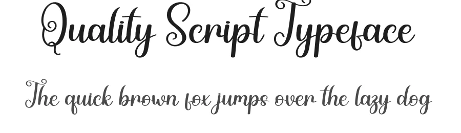 Quality Script Typeface by andikastudio — Script Handwritten Font