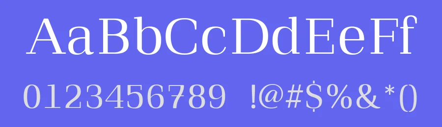Qualitype Neo Font Family by BUYUKSEL — Serif Font — thumbnail 3