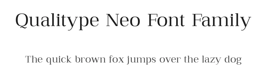 Qualitype Neo Font Family by BUYUKSEL β Serif Font