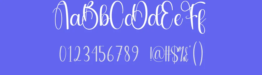 Quantity Calligraphy Font by andikastudio — Script Handwritten Font — thumbnail 3