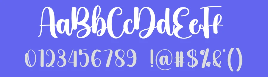 Quantity Script Font by creativeletter — Script Handwritten Font — thumbnail 3