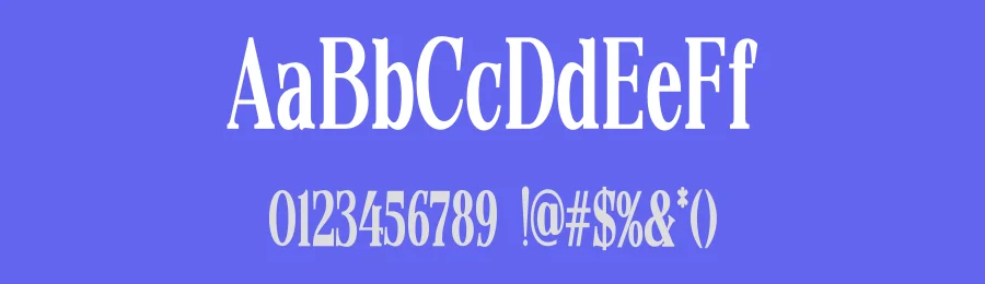 Quarter Theory Font Family by Propertype — Serif Font — thumbnail 3