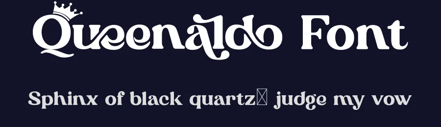 Queenaldo Font by Mevricks Studio — Serif Font — thumbnail 2