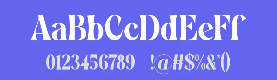 Qufyne – Elegant Classy Serif Font by ErmediaStudio — Display Font — thumbnail 3