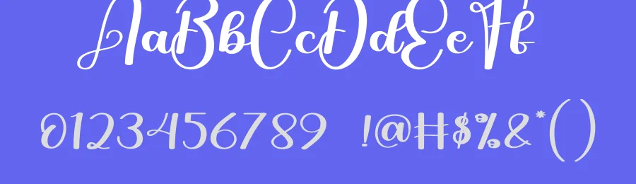 Quick Calligraphy Font by creativeletter — Script Handwritten Font — thumbnail 3