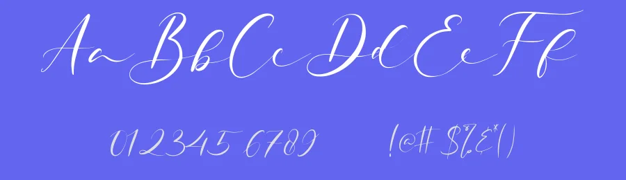 Quinolyne Font by qwrtype — Script Handwritten Font — thumbnail 3