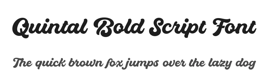 Quintal Bold Script Font by saffatin.co — Script Handwritten Font