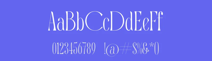 Quiselle Serif Font by timelesstype.co — Display Font — thumbnail 3