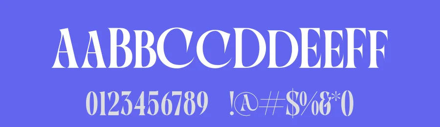 Qulight Font by timelesstype.co — Serif Font — thumbnail 3