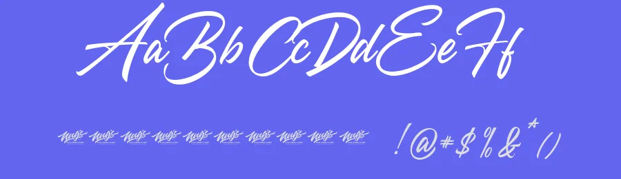 Qyara Calligraphy Font by NUGS — Script Handwritten Font — thumbnail 3