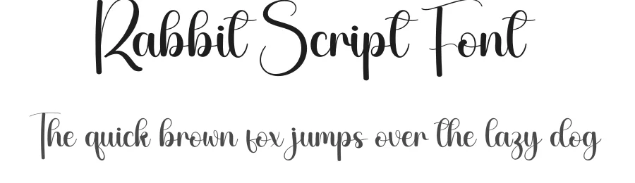 Rabbit Script Font by creativeletter — Script Handwritten Font