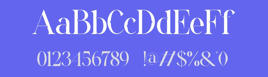 Rachia Font by ErmediaStudio — Serif Font — thumbnail 3