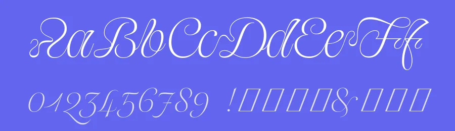 Raconteurs Font by Black Foundry — Serif Font — thumbnail 3