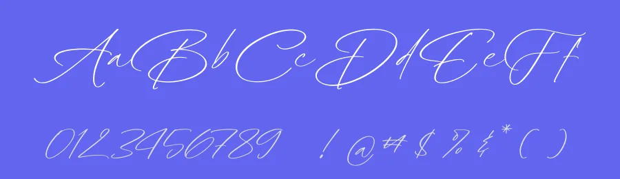 Radiance Berlines Script Font by Operatype.Co — Script Handwritten Font — thumbnail 3