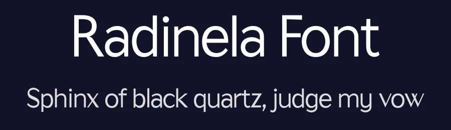 Radinela Font by akbartype — Script Handwritten Font — thumbnail 2