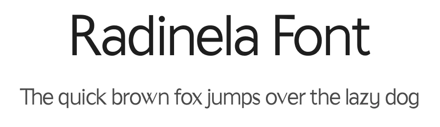 Radinela Font by akbartype — Script Handwritten Font