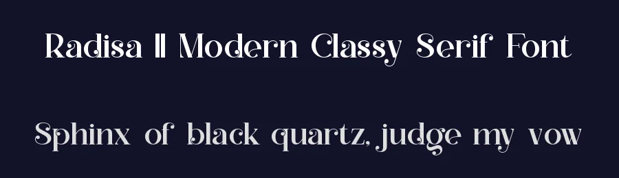 Radisa || Modern Classy Serif Font by ErmediaStudio — Display Font — thumbnail 2