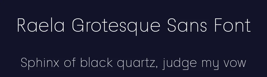 Raela Grotesque Sans Font by Lettertype Studio — Sans Serif Font — thumbnail 2